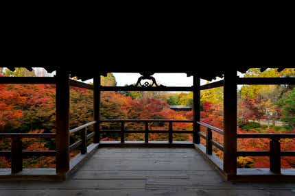 【兵庫エリア発】 京都秋の3つの欲張り紅葉狩り! 通天橋・東福寺・「床もみじ」岩倉実相院・蓮華寺 日帰り