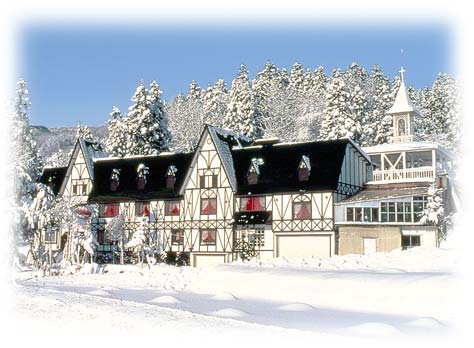 【東京・横浜】夜発　［戸狩温泉スキー場　リフト券付］ホワイトヴィレッヂ２泊（滞在中利用ＯＫのレンタル付）＜２０２５－２０２６　ＪＡＭＪＡＭスキー＆スノボ＞1