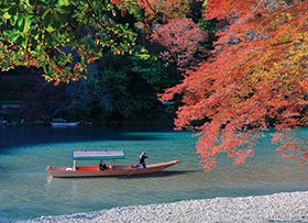 らんざんで京料理のご昼食 屋形船と嵯峨のﾄﾛｯｺ列車で巡る嵐山の紅葉1