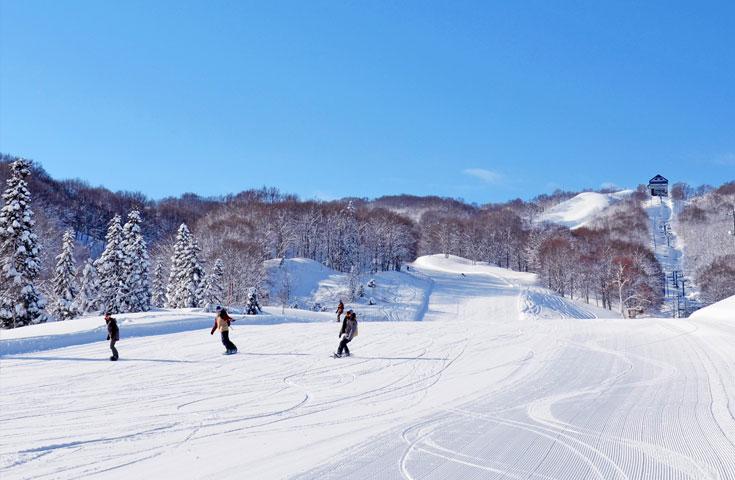 【往復新幹線指定席で行く】「ホテルグリーンプラザ上越」 1泊2日【1日リフト入場券付】【翌朝食付】2