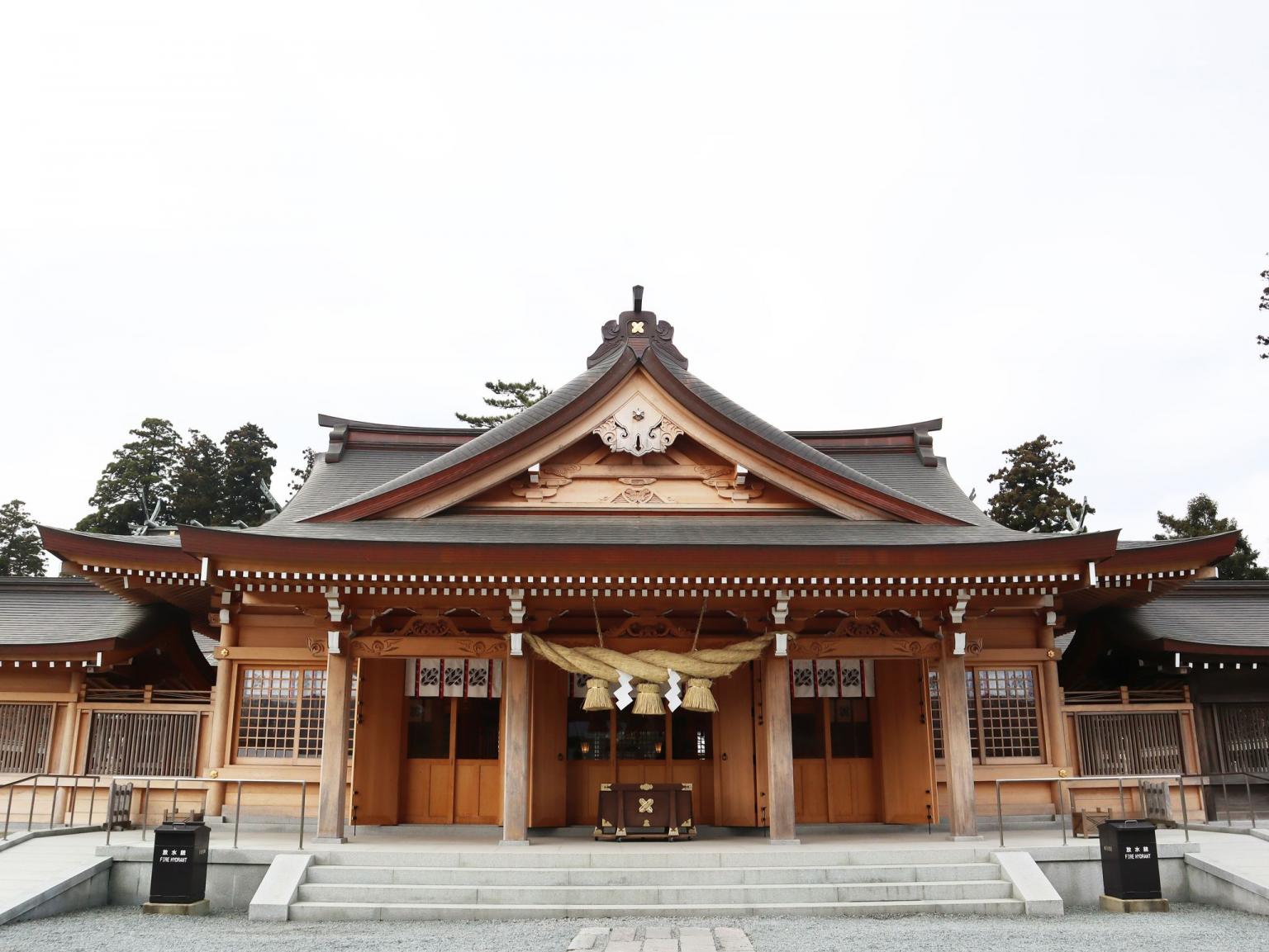 阿蘇神社初詣・草千里ヶ浜散策とあか牛ハンバーグセットランチ⛩　 日帰りバスツアー🚌1