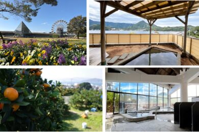 【広島駅新幹線口発着／日帰り】周防大島でみかん狩りと 季節の花満喫　日帰り≪広島広域都市圏地域密着ツアー≫ 1