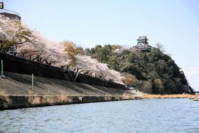 【東京駅・品川駅・新横浜駅・静岡駅発】 《日本100名城めぐり》桜舞う  東海・関西の名城めぐり ～信長、秀吉、家康ゆかりの城～ ３日間2