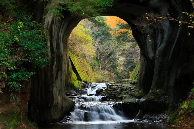 【福井県内発】 絶景と感動の連続！房総半島と横浜・鎌倉・富士みどころ９景めぐり３日間3