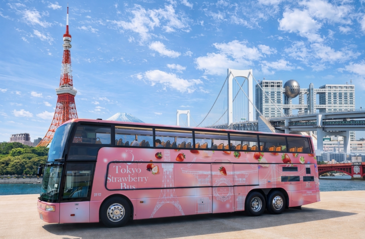 [Tokyo Strawberry Bus] ベイコース 【18:50発】プレミアムいちごBOX付き♪オープントップで壮快！東京観光＜GPS付自動音声ガイドシステム搭載＞1