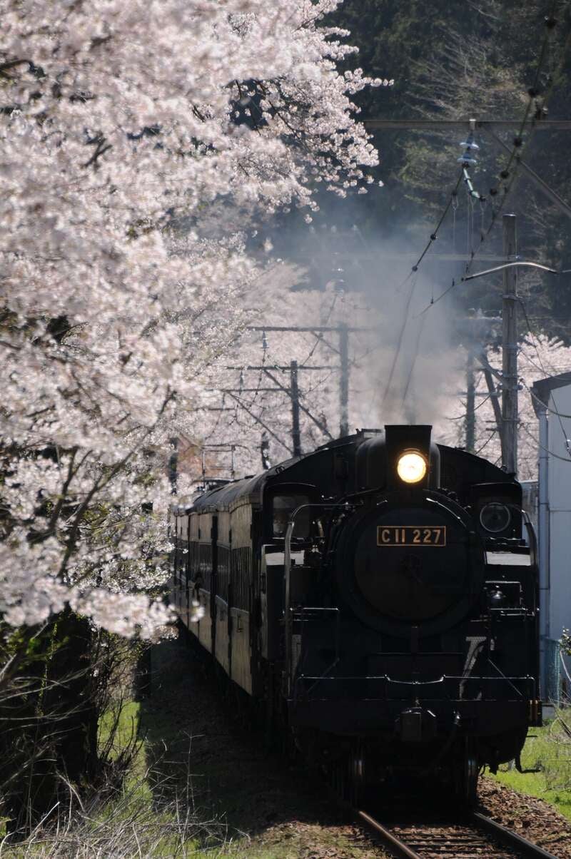 【福岡・熊本県内／博多駅・小倉駅発】 東海桜三名城めぐりと大井川鐡道ＳＬ列車・アプト式列車3日間1