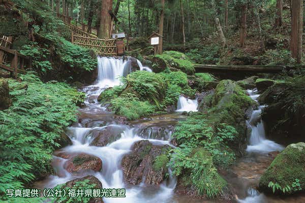 <福井>老舗うなぎ料理店「徳右エ門」で食すひつまぶし 【垂水・名谷・西鈴蘭台出発】2