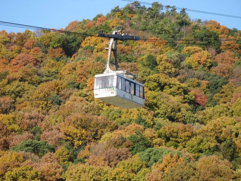 【京滋エリア発】 こんな旅してみたかった！世界遺産を望むレストラン！姫路ＳＯＲＡＮＩＷＡランチと 秋色の好古園と書写山ロープウェイ＆円教寺　日帰り3