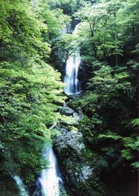 【兵庫県内発】 風、水、音、夏のこだわり納涼ミステリーツアー　日帰り