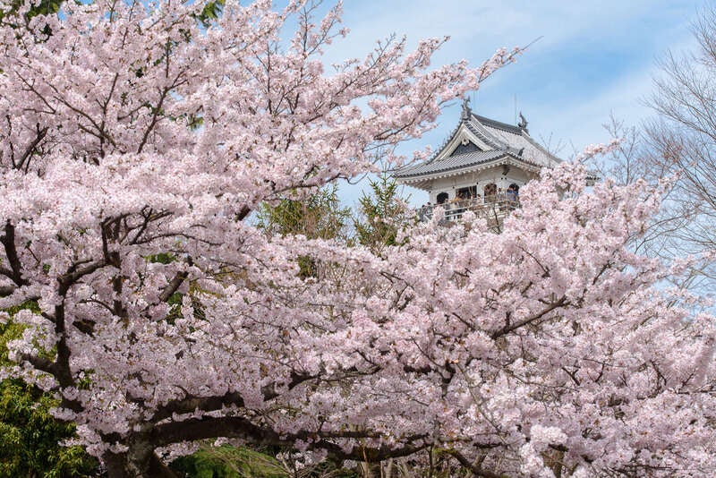 【花巻空港発】 《日本100名城めぐり》桜舞う  東海・近畿の名城めぐり ～信長、秀吉、家康ゆかりの城～ （３日間）2
