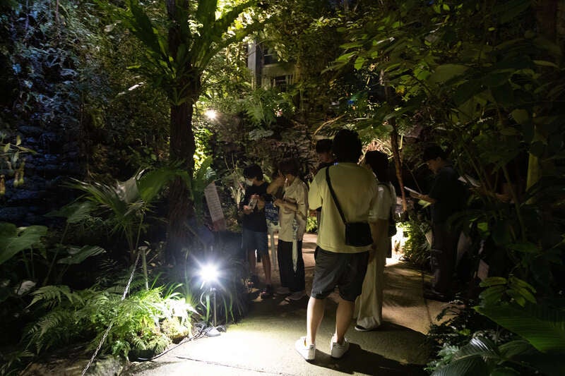 【岡山・倉敷発】 読売夜間貸切！牧野植物園と竹林寺ライトアップ・土佐の日曜市　日帰り2