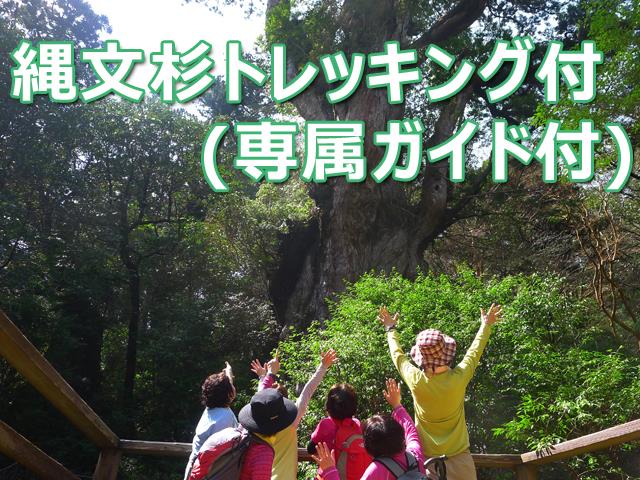 ■往復航空機利用！≪完全貸切ガイドと行く！縄文杉トレッキングツアー付きプラン≫お好きな宿をお選びいただけます！　3泊4日1