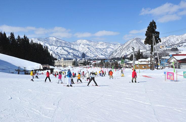 [新宿発]【往復バスで行く】朝発 湯沢パークスキー場日帰り1