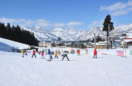 [新宿発]【往復バスで行く】朝発 湯沢パークスキー場日帰り