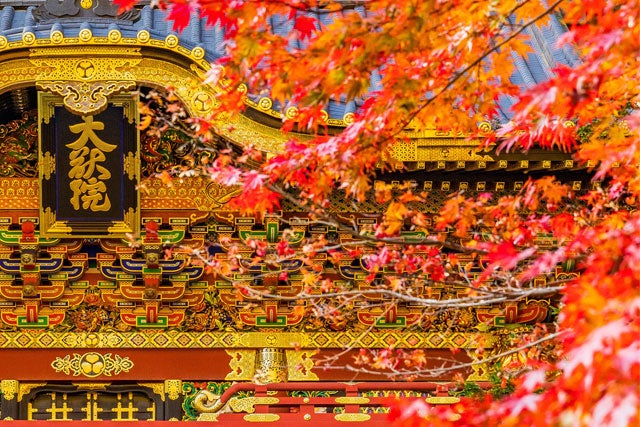 【新宿/東京発】秋色鮮やかに染まる日光へ！　＜日光で約2時間のフリープラン♪＞日光東照宮・輪王寺＆日本三名瀑「華厳の滝」、日光いろは坂・中禅寺湖めぐる　日帰りバスツアー1