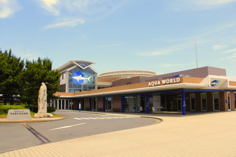 【佐野発着】甘くて楽しい！メロン狩りとうみのともだち/ WEB割引5%引き2