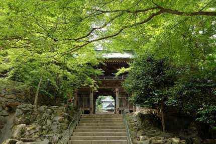 【鳥取駅発】 四国八十八ヶ所１番霊山寺（りょうぜんじ）・88番大窪寺（おおくぼじ）両参り体験　日帰り