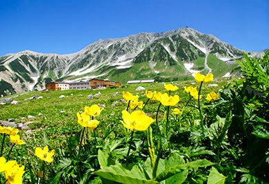 【富山県内（高岡・砺波）発着】室堂まで乗り換えなし！夏の立山黒部アルペンルート2