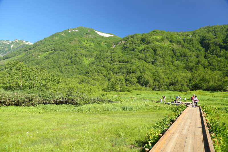 【ＪＲ和歌山駅発】 立山眺望観光列車『アルプスエキスプレス』貸切乗車！(※注）黒部峡谷トロッコ列車と白馬栂池自然園　２日間3