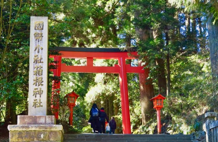 [新宿発]≪新春・日帰りツアー≫十国峠山頂から見る初富士＆初日の出！箱根神社で初詣＆箱根小涌谷ユネッサン「元湯 森の湯」でゆったり初湯3
