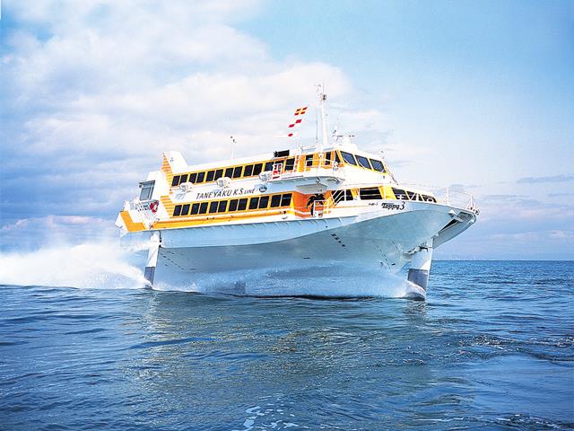 航空機+高速船利用！≪世界遺産屋久島＆最終泊種子島≫宿泊先を自由に選べるチョイスプラン 3泊4日1