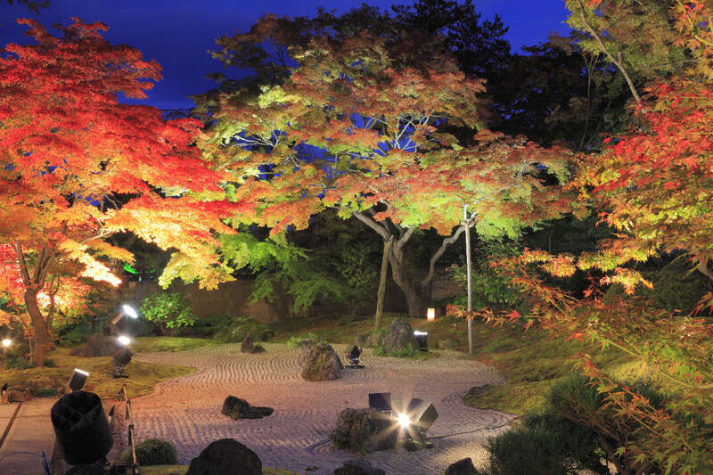 【秋田市内発】 日帰りだけど2食付き！船と紅葉ライトアップ創業祭ミステリー(日帰り）2