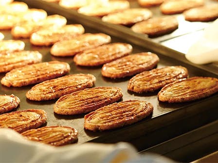 中部発　日帰り　全立ち寄り先屋内で天気・気温心配ご無用！実は甘味処の〇〇県ミステリーツアー！1