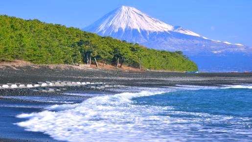 ＜Web割対象商品＞【キングツアーバス旅】どっさどっさ㏌静岡　みかん狩り食べ放題&三保の松原〔府中・調布発〕1