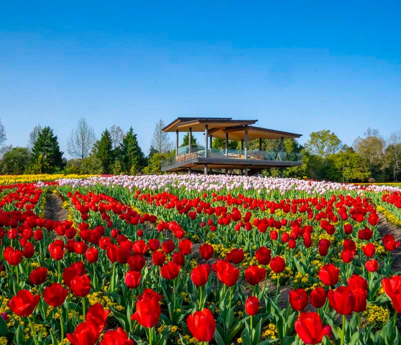 【JR福山駅発】春のごほうび旅～芸備線ローカル列車へ乗車～　日帰り3