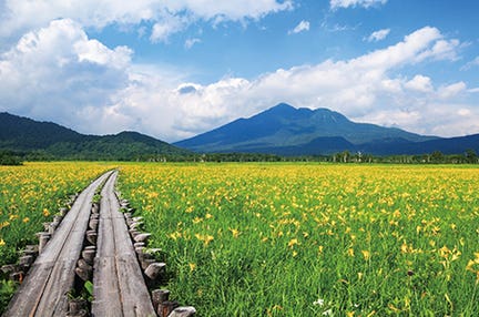 ＜尾瀬認定ガイドがご案内＞花の楽園尾瀬ヶ原と一度は訪れたい絶景奥只見湖遊覧感動の旅3日間　～2024年12月リニューアル【コーナービュースイートルーム】にご宿泊（1泊目）～
