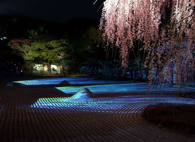 【山口県内発】 春の京都を彩るライトアップ寺院＆さくら名所めぐり 伊勢神宮両参り正式参拝２日間2