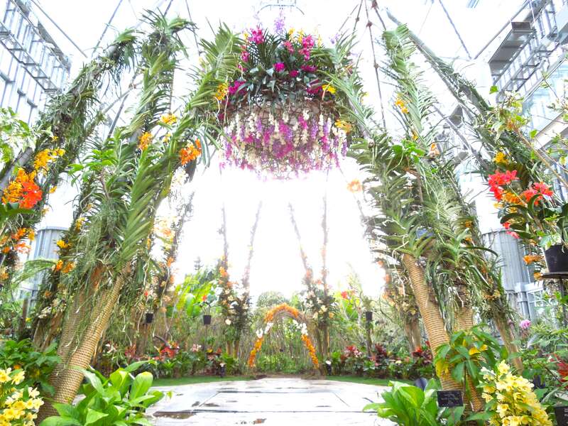 【大分港発】 往復フェリー利用　「第31回神戸ルミナリエ」と「蘭展オーキッドフェスティバル2026」３日間1