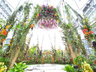 【大分港発】 往復フェリー利用　「第31回神戸ルミナリエ」と「蘭展オーキッドフェスティバル2026」３日間