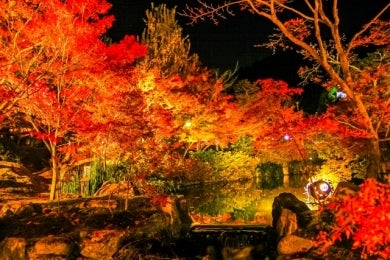 京都・秋の特別拝観 永観堂紅葉ライトアップと宝厳院「獅子吼の庭」2日間1