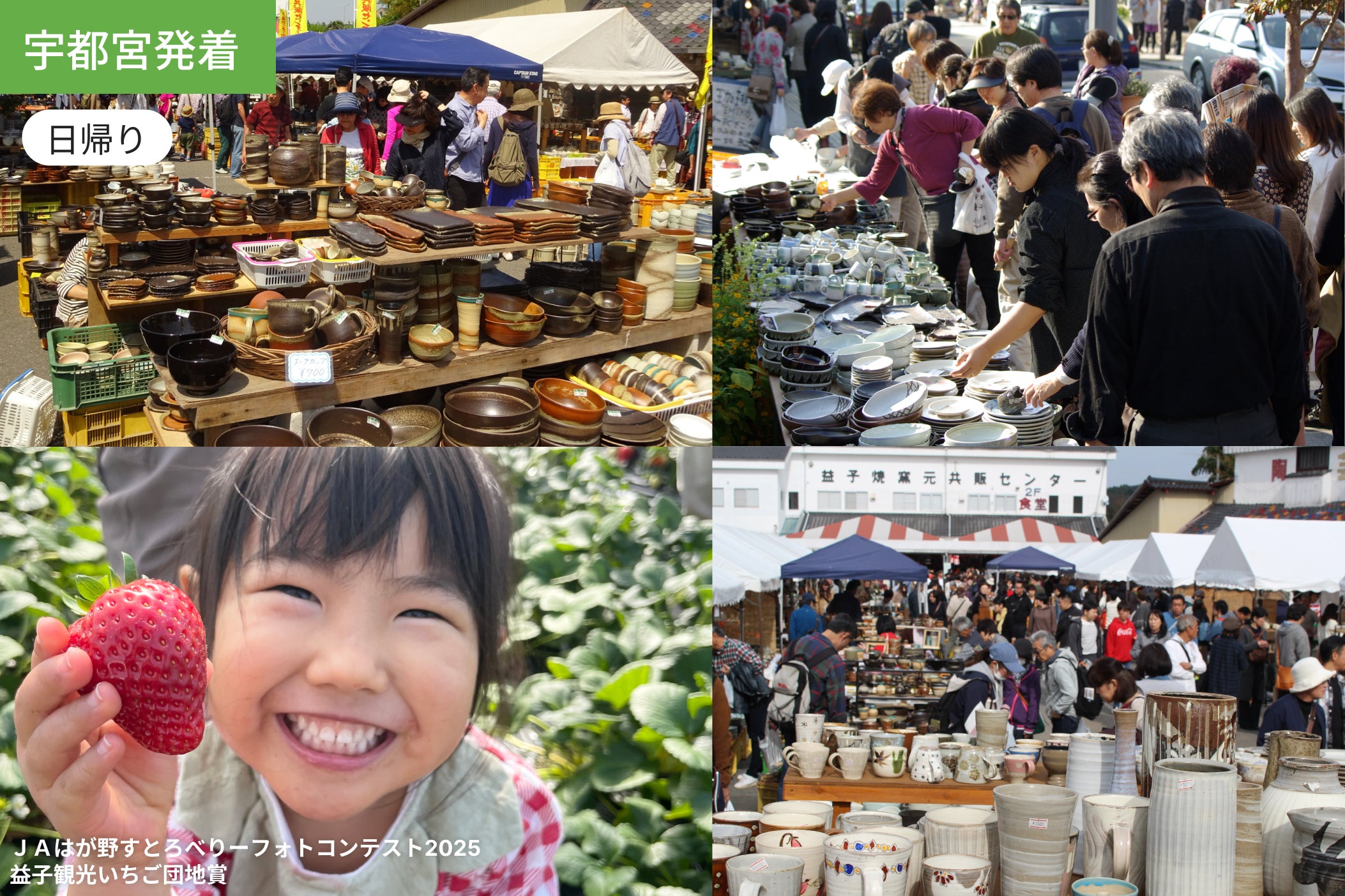 【宇都宮発着】春のお出かけ！益子陶器市といちご狩り体験1