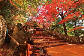 姫路・加古川　発
№4829 ゆったりーなミステリー1