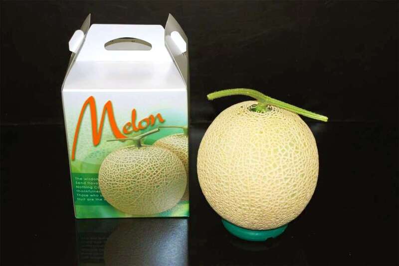 【富山県内発】 伊良湖温泉　伊良湖リゾート＆コンベンションホテルに宿泊 三河マスクメロン収穫体験・１玉持ち帰り付　初夏の三河・渥美半島２日間2