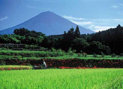 【東京駅・品川駅・新横浜駅発】 ≪登山≫山田ガイドと行く、富士宮口から山小屋2連泊でチャレンジ富士登山(新幹線利用)3日間*