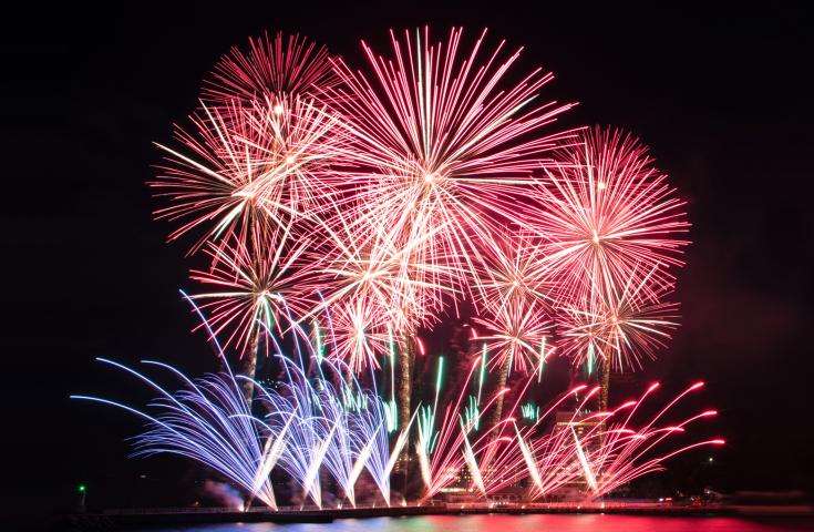 【早割30】[横浜発]優雅!!船上から眺める『熱海海上花火大会』鑑賞＆富士山を望む花畑散策、夕食は鉄板ステーキや海鮮丼、さらに地ビール等食べ放題飲み放題のディナービュッフェ付きで海・山・食を満喫の日帰りバスツアー！1