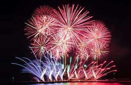 【早割30】[横浜発]優雅!!船上から眺める『熱海海上花火大会』鑑賞＆富士山を望む花畑散策、夕食は鉄板ステーキや海鮮丼、さらに地ビール等食べ放題飲み放題のディナービュッフェ付きで海・山・食を満喫の日帰りバスツアー！