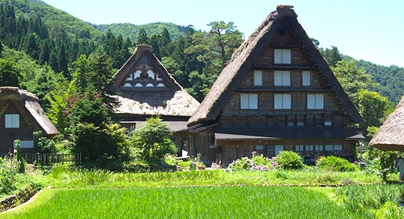 ＜新宿発・西船橋発＞ 名湯・下呂温泉に宿泊！夏の飛騨路・3大ハイライト♪ 世界遺産『白川郷』と小京都『飛騨高山』　そして、山岳リゾート『上高地』の旅 ２日間1