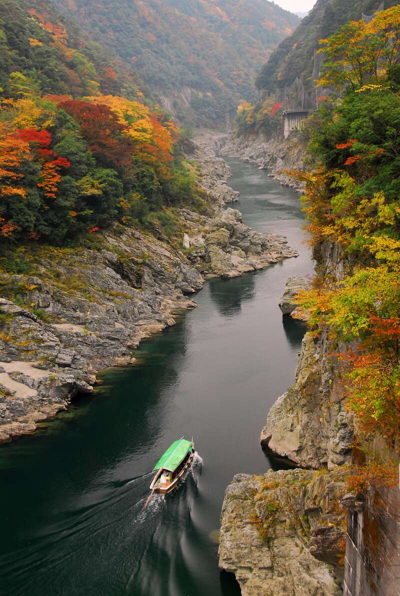 ありがとう「南海フェリー」利用！紅葉名所の秘境「大歩危峡」もみじ遊覧と日本三大奇橋「祖谷かずら橋」日帰り3