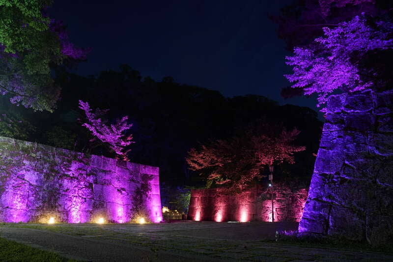【泉州地区発】 冬の６つの高級食材を食す！グルメ満喫＆和歌山城公園～光の回廊～ライトアップ　日帰り3