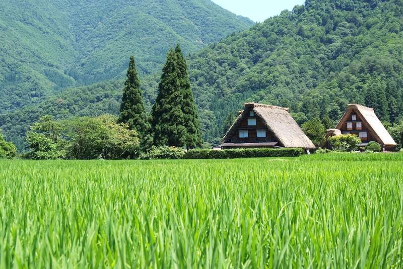 【山口県内発】 越中おわら風の盆と上高地・高山・白川郷３日間3