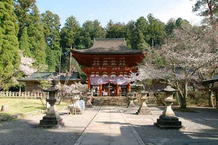 【兵庫エリア発】 標高８００M!天空の聖地　高野山と世界遺産花手水の丹生都比売神社　日帰り