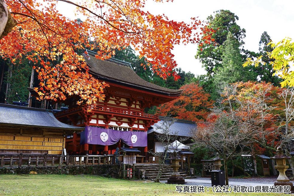 ＜和歌山＞晩秋の風物詩「四郷の柿の玉のれん」串柿の里ご散策と柿狩り食べ放題【緑が丘･西神中央･明石出発】2