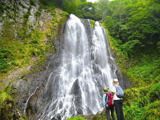 【名古屋発】■２０２６年６月２４日（水）■（個室）［中級］乗鞍山麓に広がる「五色ヶ原」トレッキングと奥飛騨の名湯「平湯温泉」　１泊２日　♪名鉄の泊りトレッキング1
