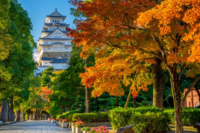【山形空港発】 “洋上の動くホテル”4つのフェリーで航く☆紅葉彩る日本一周クルーズ(8日間)2