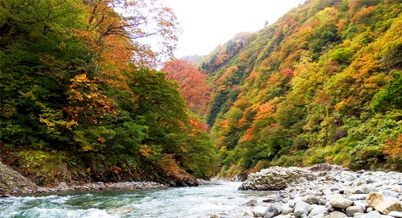 ＜新宿発・西船橋発＞ 秘境！奥只見湖遊覧船 と 絶景ダムウォーク　そして、紅葉の清津峡＆大源太湖　名湯・越後湯沢温泉でイクラにステーキ食べ放題　２日間2