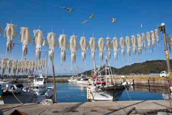 【青森空港発】 呼子のイカ！佐賀牛！牡蠣！博多水炊き！西九州ごちそう街道　4日間